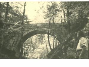 LA JEUNE FRANCE ORAN PAR RENE PONS  (297)